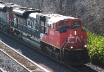 CN 8806