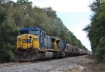 CSX 317