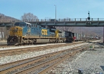 CSX 5113