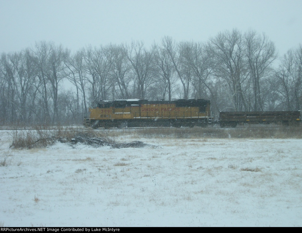 UP 3991 eastbound UP empty ballast work train