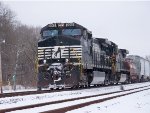 NS #9568 In The Snow