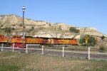 BNSF Coal Train