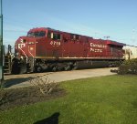 CP 8719