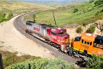 BNSF 8299 at Tunnel #2