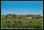 BNSF-7591 East