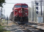 CP 8504