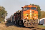 Westbound BNSF Empty Ethanol