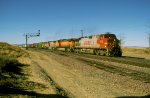 BNSF 709 East