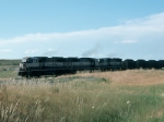 BNSF 9654