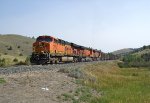 BNSF 5905