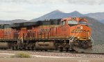 BNSF 6783