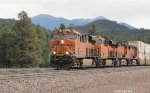 BNSF 7136