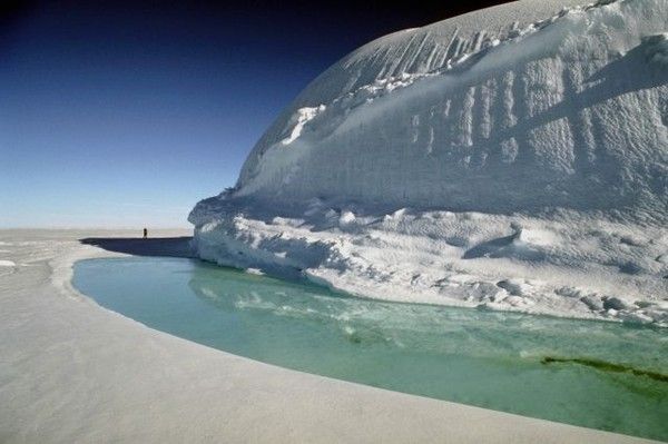 Antarctique et Arctique