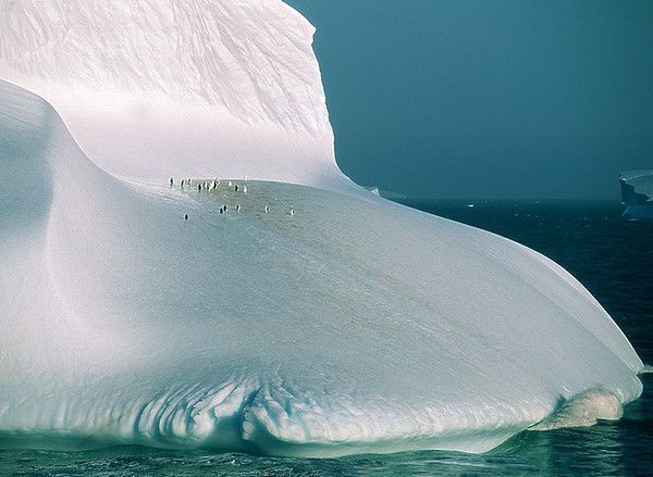 Antarctique