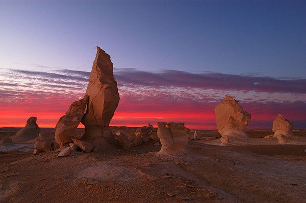 Désert blanc d'Egypte