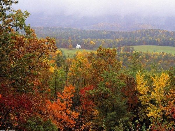 couleurs d'automne