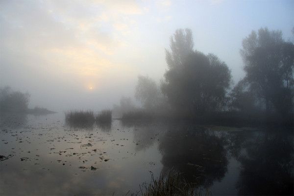 Au petit matin...