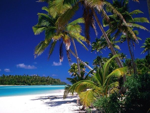 PLAGES DU MONDE / rien que des plages