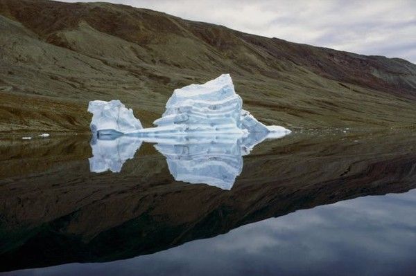 Antarctique et Arctique