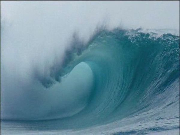 photos tirées du film documentaire LA PLANETE BLEUE