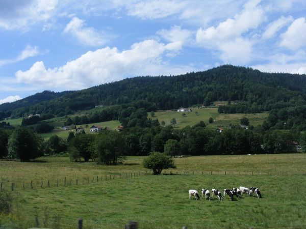 PAYSAGES D'ALSACE