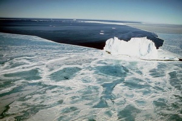 Antarctique et Arctique