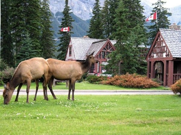 Parc National Canadien