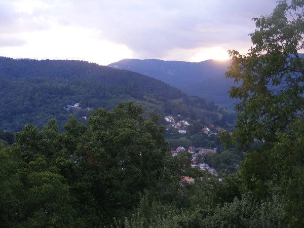 PAYSAGES D'ALSACE