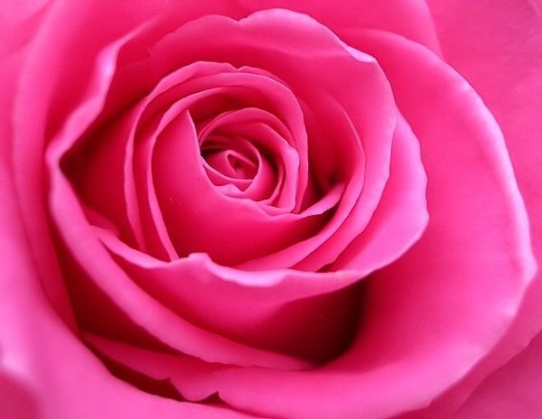 R comme rose, la couleur rose