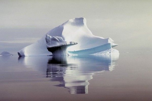 Antarctique et Arctique