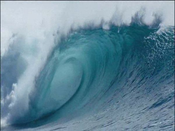 photos tirées du film documentaire LA PLANETE BLEUE