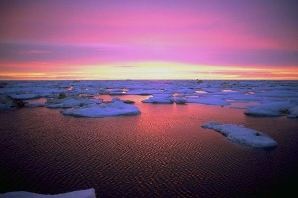 Antarctique et Arctique