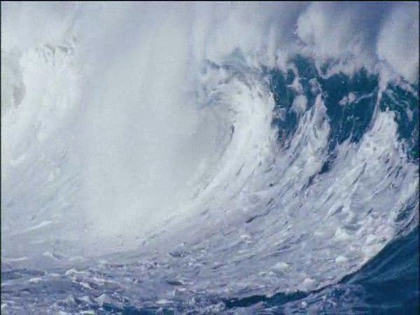 photos tirées du film documentaire LA PLANETE BLEUE