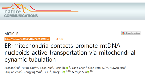 Chinese research teams identify active transportation mechanism of nucleoids