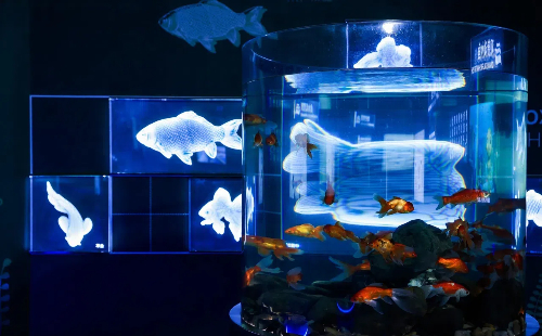 Shaoxing opens first large aquarium