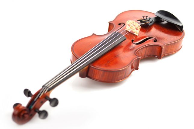 Violon__7986745