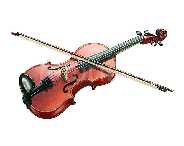 Violon__988678