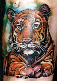 tiger tattoos