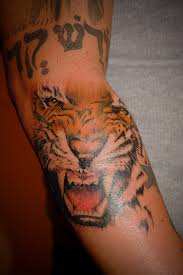 tiger tattoos