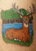 deer tattoos