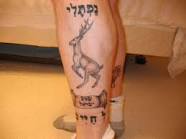 deer tattoos