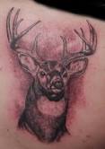 deer tattoos