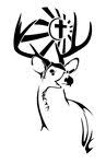 deer tattoos