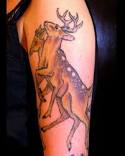 deer tattoos