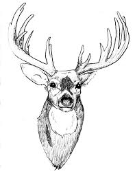 deer tattoos