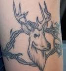 deer tattoos