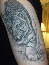 tiger tattoos