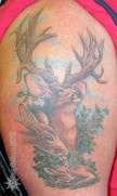 deer tattoos