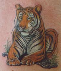 tiger tattoos