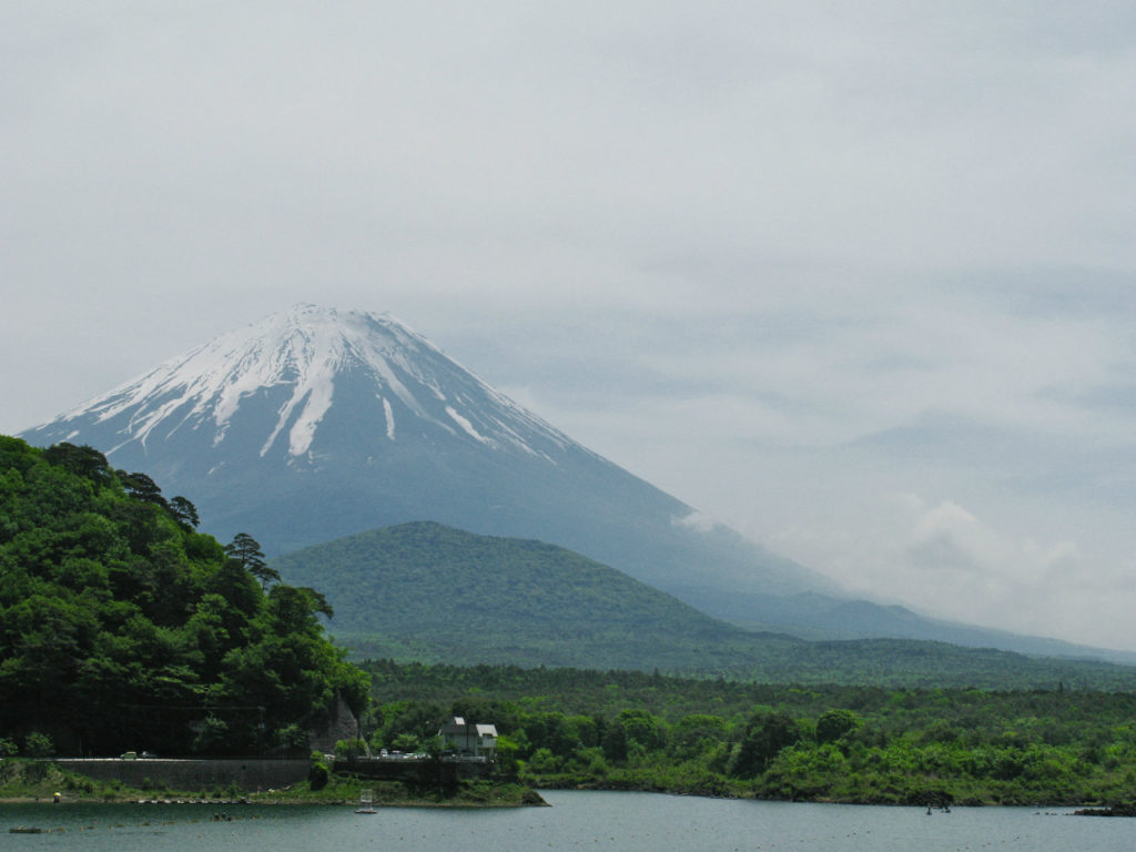 Aokigahara – The Suicide Forest, Japan